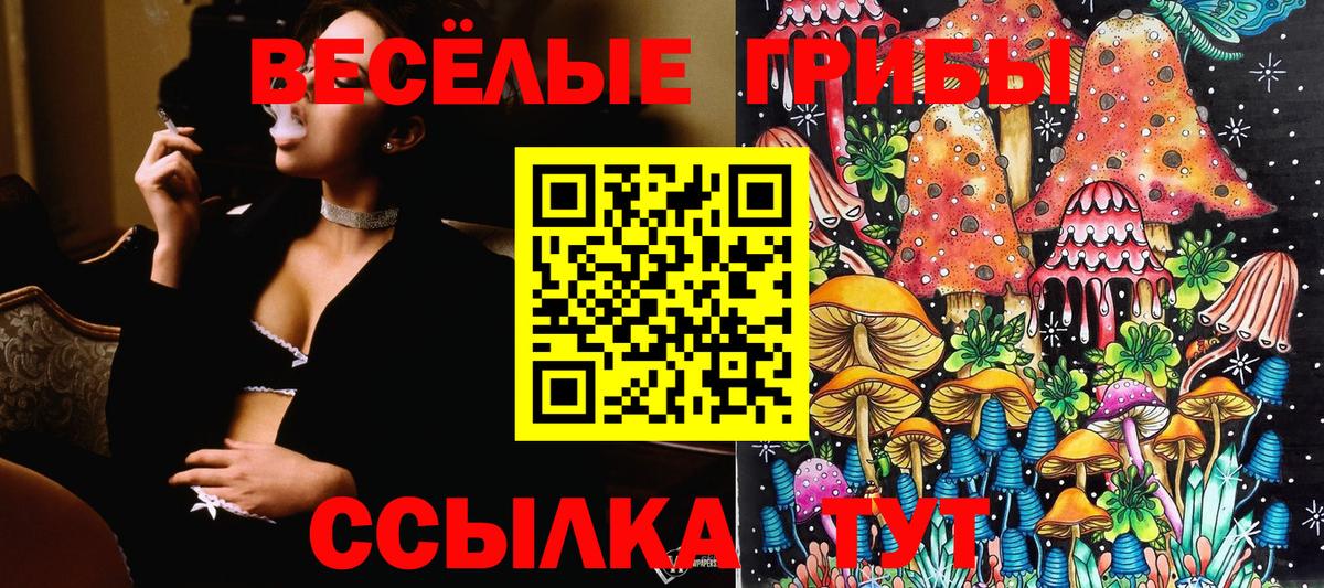 Михайловск  Cocaine  ГАШ  Вход с VPN  Меф   Магазин наркотиков 