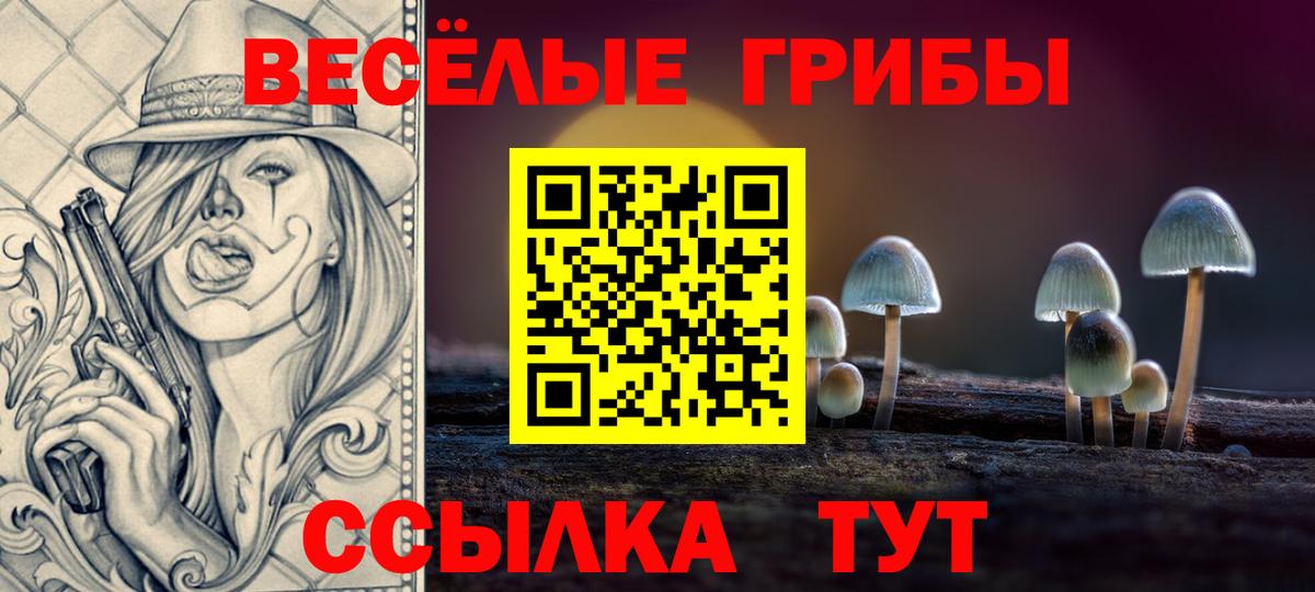 купить наркоту  Галлюциногенные грибы прущие грибы  Вход с VPN  Псилоцибиновые грибы Psilocybe  Михайловск 