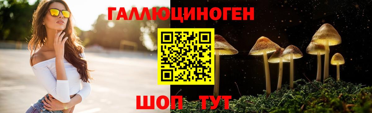 Галлюциногенные грибы Psilocybe Михайловск